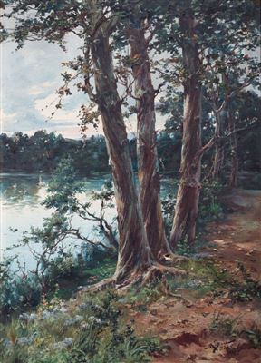 Costa de arroyo