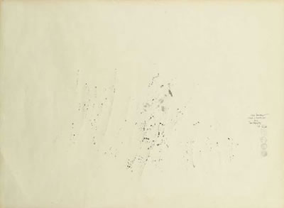 TARA MARQUEZ OZ , 2001
