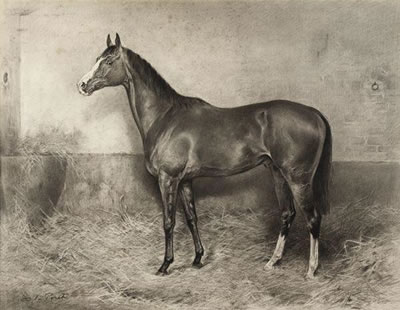 Hassan, pur-sang à l'écurie by Xavier De Poret - Auction record, sale price, and art valuation. Compare with similar artists and explore comparable artworks.