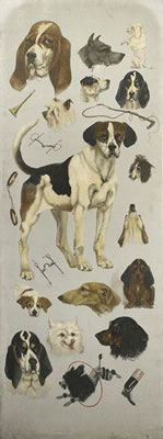 Autour du chien