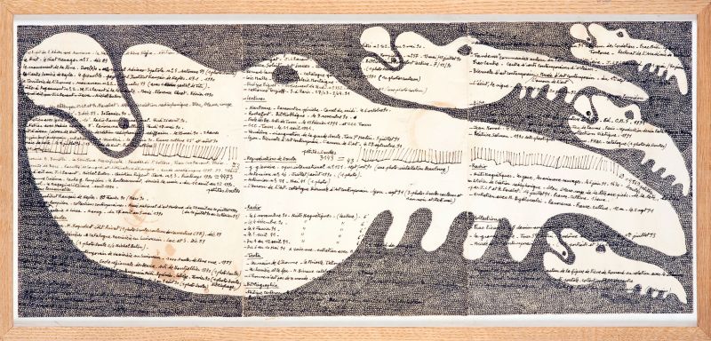 SANS TITRE (2)