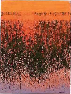 CAMARGUE, L'HERBIER AU SOLEIL ROUGE