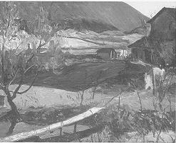 Ploughed Gardens