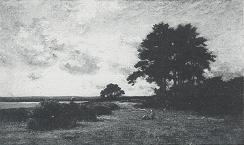 A Summer Picnic