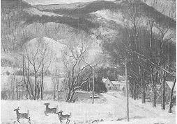 Winter