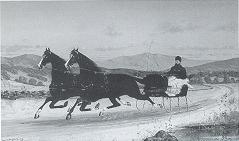 The Sleigh Ride