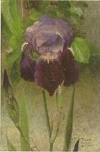 Fleur de Lys