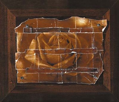 The Rose