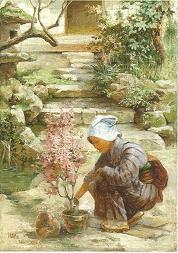 In the Garden