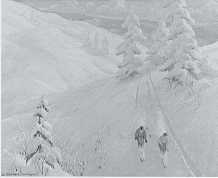 New Tracks New Snow by Albert Pennoyer - Auction record, sale price, and art valuation. Compare with similar artists and explore comparable artworks.