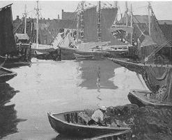 Sailboats in a Harbor