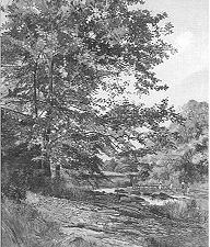 Children Wading in a Stream