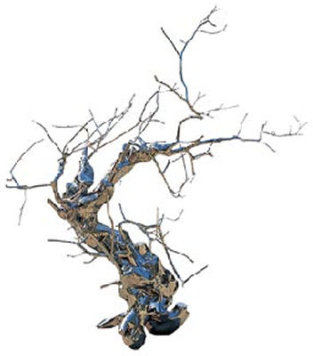 MY BONSAI NO.4