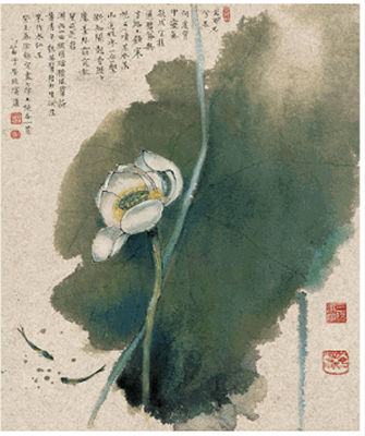 LOTUS BLOSSOM