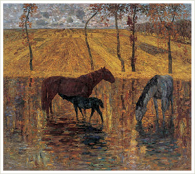 HARVEST SEASON