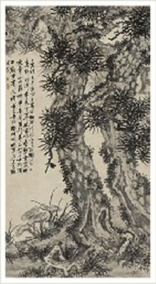 AUSPICIOUS PINE AND GANODERMA
