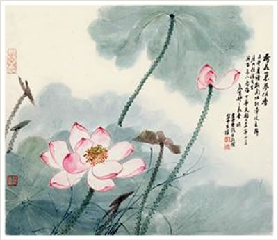 Lotus