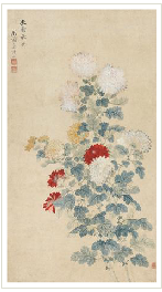 COLOURFUL CHRYSANTHEMUM