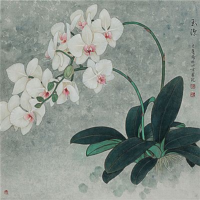 Orchid