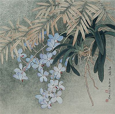 Orchid