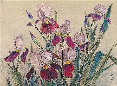FRINGED IRIS