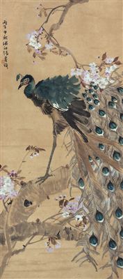 PEACOCK