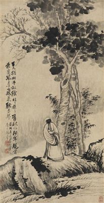 SHADE OF TUNG TREE