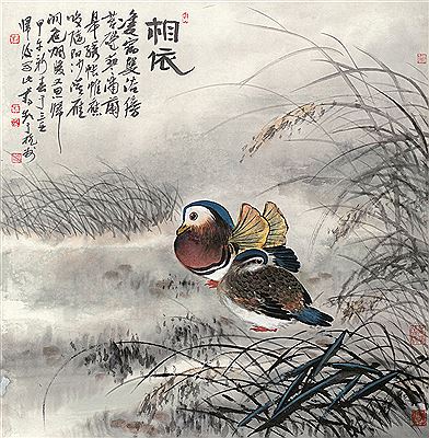 MANDARIN DUCKS