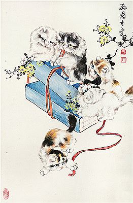 CATS