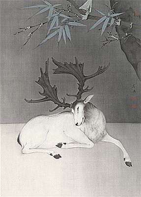 ELK