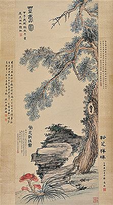 PINE AND GANODERMA