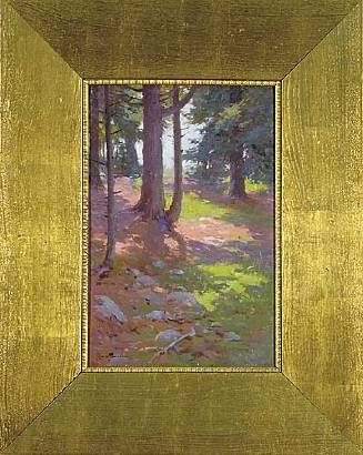 Dappled Sunlight