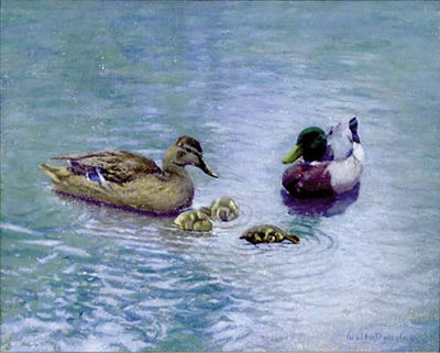 Ducks in a Pond by Walter Douglas - Auction record, sale price, and art valuation. Compare with similar artists and explore comparable artworks.