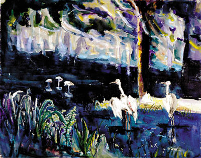 Swamp at Night