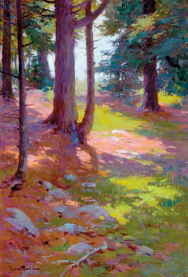 DAPPLED SUNLIGHT