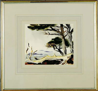 PINES, MONTEREY, CALIFORNIA by J W S Cox - Auction record, sale price, and art valuation. Compare with similar artists and explore comparable artworks.