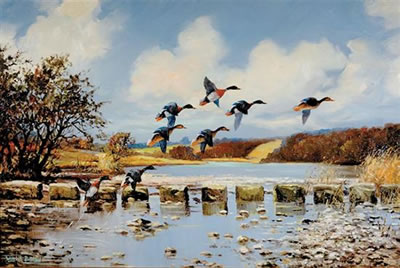 PAIR WORKS: DUCKS TAKING FLIGHT and DUCKS FLYING LOW