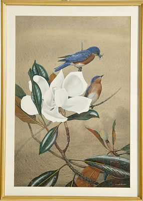 BLUEBIRD AND MAGNOLIA