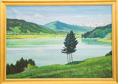 ALPINE LAKE VIEW