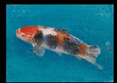 Carps