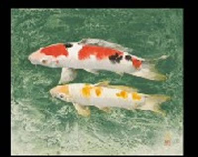 Carp