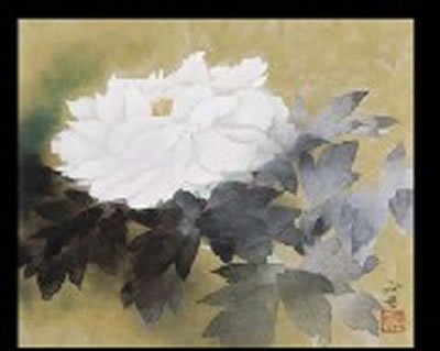 Peony