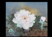 Peony
