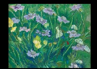 Field Flowers