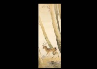 Fawn in the Wood