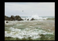Ocean