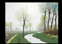 Morning Mist