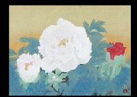 Red and White Peony