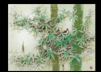 Bamboo Woods