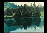 Triangular land in autumn by Shigehiko Ishikawa - Auction record, sale price, and art valuation. Compare with similar artists and explore comparable artworks.